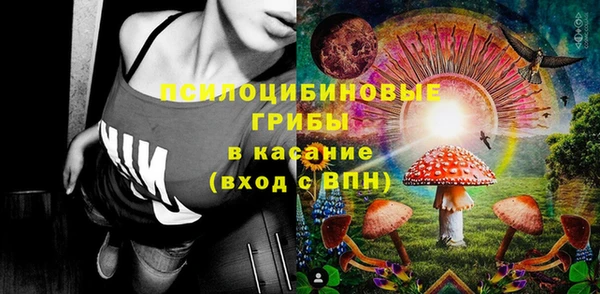 тгк Алексин