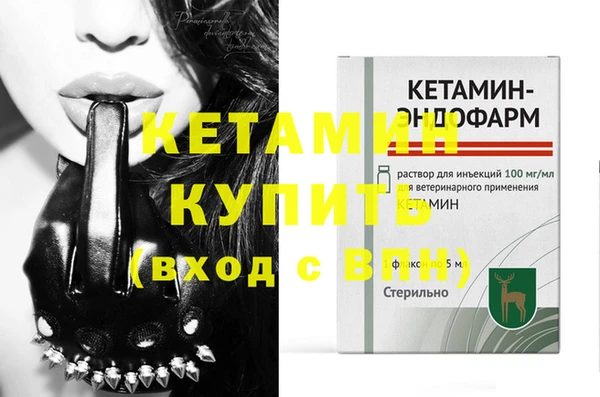 шишки Дмитриев
