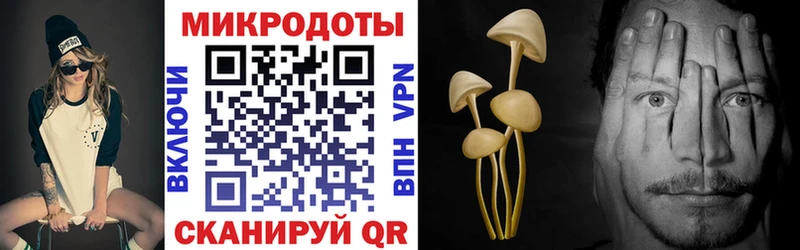 MEGA рабочий сайт  закладки  Шарья  Галлюциногенные грибы Psilocybine cubensis 